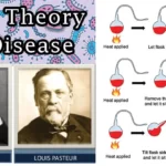 Would the law of chemistry apply to germ theory?